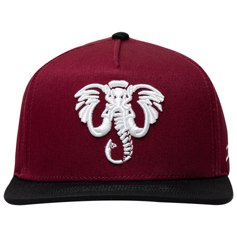 ELEPHANT BURGUNDY